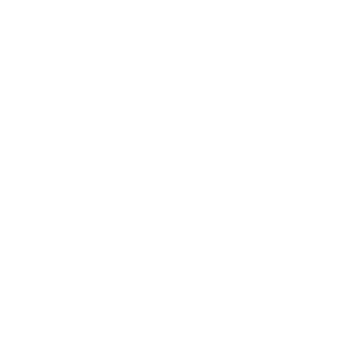 Booner Taxidermy