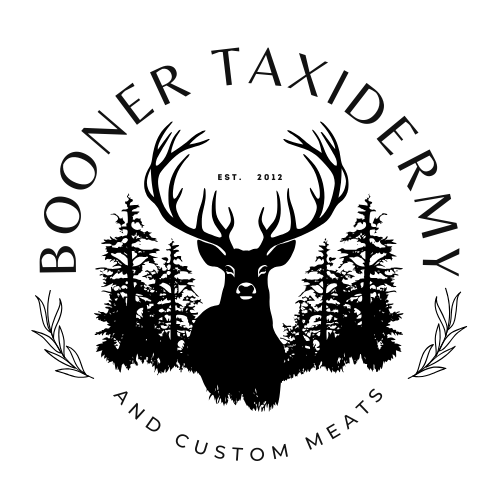 Booner Taxidermy